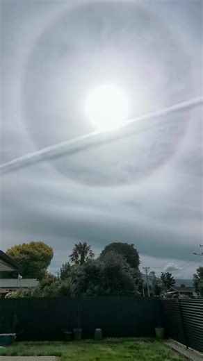 Exploring Motueka, New Zealand: A Local's Guide