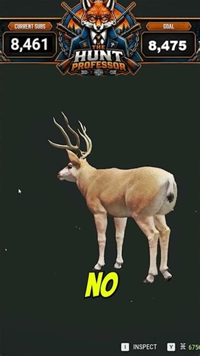 I Ruined a RARE Mule Deer... 😭