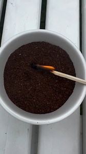 Jag bort myggen med kaffe! Les mer om hvordan det virker her: https://www.startsiden.no/diy/tips-mot-mygg-og-veps-prov-kaffe-trikset🦟! #mygg #lifehacks | Kreative idéer - Vær Kreativ