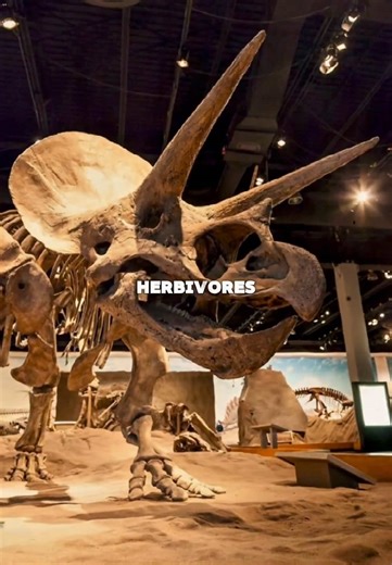 Discover Dinosaurs from Your Country!