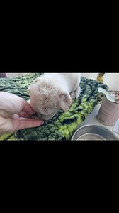 291K views · 6K reactions | Zum sterben entsorgt  Auf dem Weg zu...