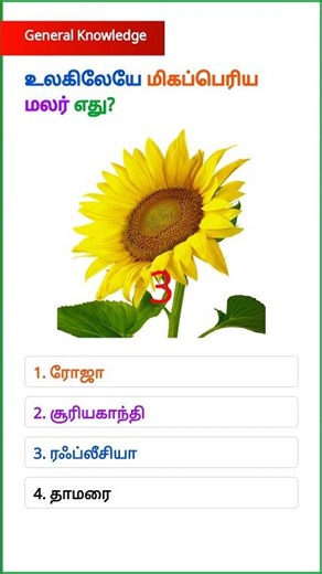 GK Questions || GK In Tamil || Pothu Arivu || GK Quiz || Mukkiyamaana Kelvigal