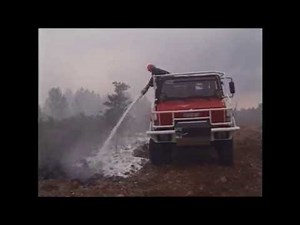 BIO FOR on forest fire - BIOex