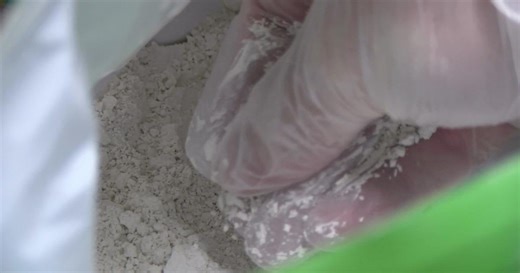 Protect your home from pests, bugs with simple tips