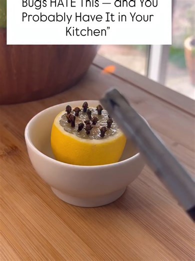 Natural Bug Repellent: Cloves and Lemons for a Pest-Free Home