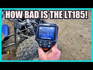 Suzuki LT 185 Tear Down: Can It Be Saved?