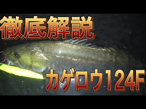 [Sea bass lure] How to use the Kagerou 124F! This is a lure that is truly amazing for catching fish.