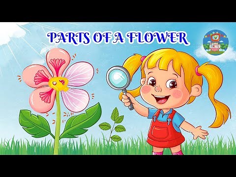 Parts of a Flower | Parts of a Flower for kids | Video for Kids | Science for Kids