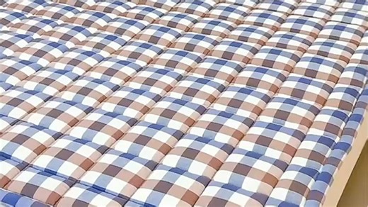 宿舍必备新疆棉床褥垫，A款加厚防滑设计，透气亲肤不闷热，适合学生党熬夜复习、午休小憩，柔软贴合人体曲线，一夜好眠从它开始。