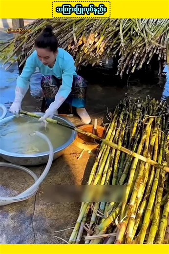How to Make Sugar from Sugarcane: A Step-by-Step Guide