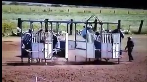 2.1M views · 17K reactions | Este compa esta Cabron al ber que el jockey ya no lo iva a montar se la rifó el y la gano que chulada  | Pasion carrilera | Facebook