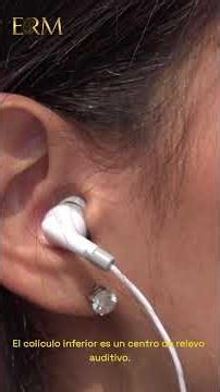 Los colículos: superior e inferior.