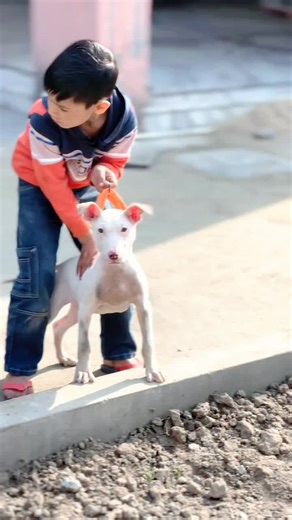 Caring for Your Dog: Essential Tips for Pet Owners