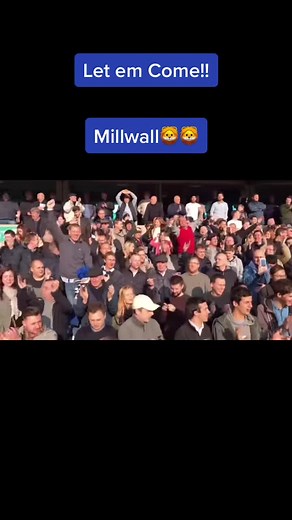 Hornets_on_tour on TikTok