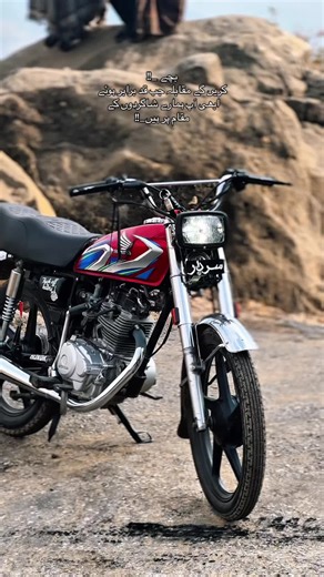 Understanding the Quality of Falcon Species