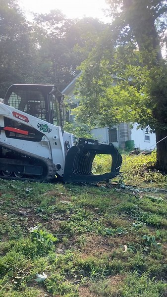 Skid steer pulling tree 😎 #skidsteer #felling #treework #fyp #rope #pulling #arborist