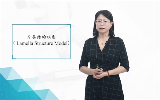 4.4 膜的分子模型