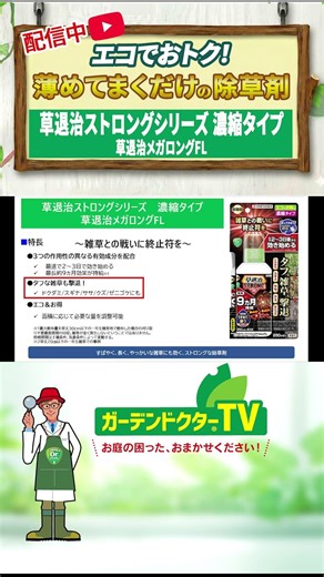 最短2～3日で効く！根までしっかり枯らす濃縮タイプの除草剤（草退治ストロングシリーズ 濃縮タイプ 草退治メガロングFL）～ガーデンドクターTV90 #除草剤 #雑草 #退治