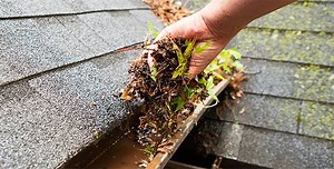 8.4K views · 42 reactions | Avoid clogged gutters that can damage your home. Learn how LeafFilter can help! | LeafFilter Gutter Protection | Facebook