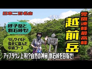 【登山】日本二百名山の越前岳（愛鷹連峰）で50代夫婦ヘロヘロ登山？富士山は見えたか？2024.6.14