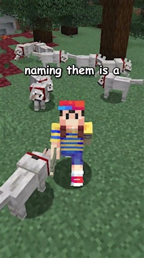 Minecraft Player RED FLAGS