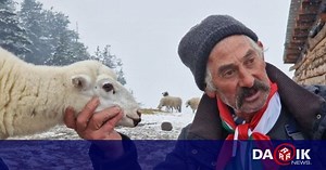 Протест във Велинград пред засегнатите от чумата стопанства