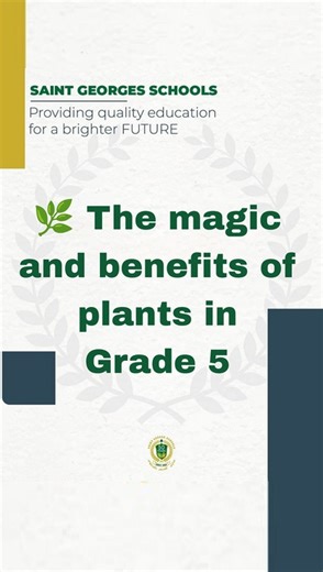 1.9K views | Our Grade 5 students are diving into the power of plants!  They explored how plants make their own food, breathe, and support life on Earth.  They also discovered the amazing benefits of medicinal plants and how these green helpers keep both our planet and our bodies healthy. #school #saintgeorges #learning #students #creativity #grade5 #Plants #breathe #life #earth | St. Georges Schools | Facebook