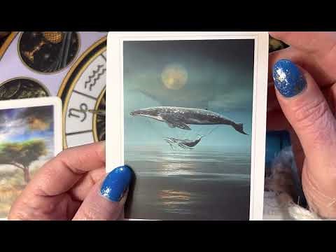 Sacred Destiny Oracle Unboxing and Walkthrough