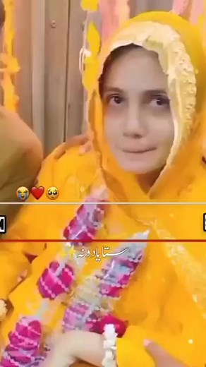 Love 💝 | Neuro Zoo