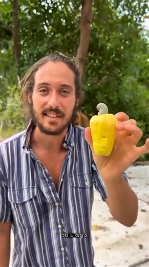 WHY Can't You Eat Cashews Directly From the Tree?#facts #trending #ytshorts
