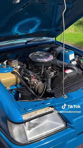 VK Blue Meanie: An Iconic Australian Car