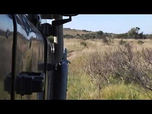 Hunt for the brown hyena