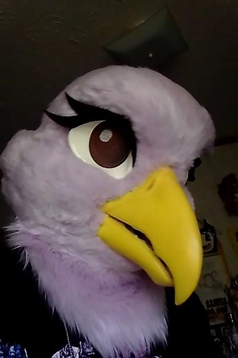 Violet the Parrot 💜 #furry #fursuit #fursona #bird