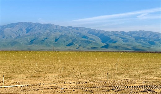 Millux Rd, Arvin, CA 93203 - Residential Zoned Farmland-City of Arvin | LoopNet
