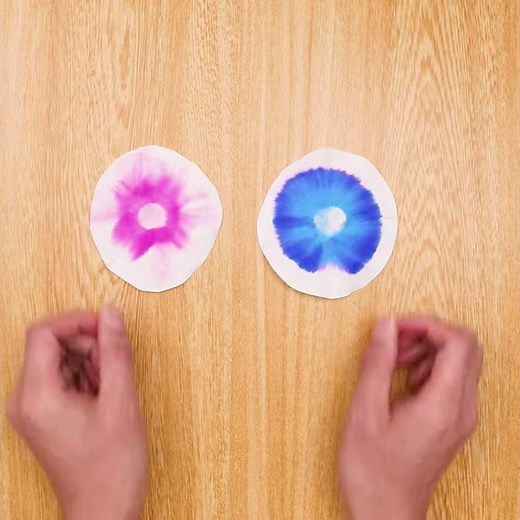 コーヒーフィルターであさがおを作ろう