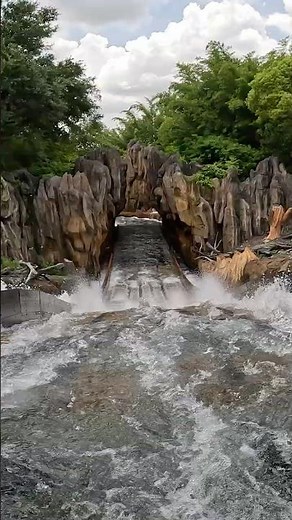 Kali River Rapids - Disney's Animal Kingdom | Walt Disney World