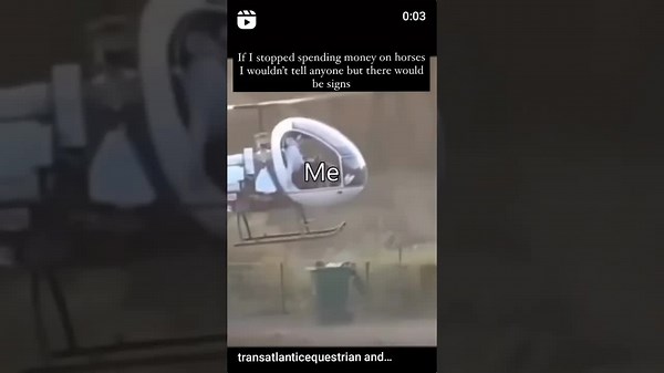 Humorous Horse-Buying Habits: Signs You Spend Too Much