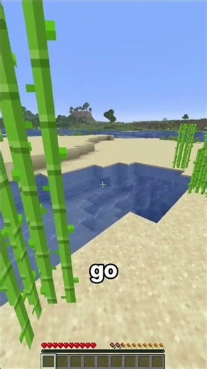 Minecraft Item Hunt 2