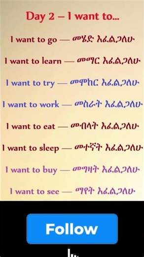 Day 2 – I Want To… | Easy English Phrases for Beginners | English + Amharic | Daily Amharic English