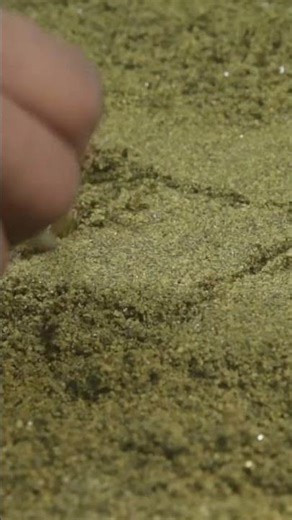 Building a Mini Windmill House with Bricks 🏠🧱 | Full Construction Process #miniature