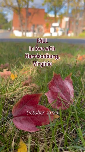 433 reactions · 28 shares | Harrisonburg, Virginia in the fall is magical ✨ | Harrisonburg, VA - Government | Facebook