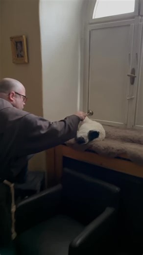 Sandesh Manuel on Instagram: "The Epiphany house blessing is traditionally done on or near January 6, the Feast of the Epiphany. It marks the moment when the Magi revealed Christ to the world and invites Him to dwell within the home for the coming year. Using blessed chalk, families inscribe the current year along with the letters C M B. They also abbreviate the Latin words Christus mansionem benedicat, “May Christ bless the house.” The “+” signs represent the Cross, and 2026 is the year. The Bl