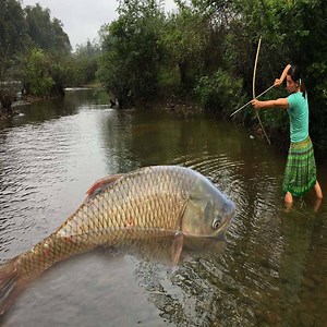 10K views · 458 reactions | Primitive Life - Ethnic Girl Fishing Skills Catch Big Fish - Cooking Fish For Survival - Wild Survival Daily | Animals Daily Life | Facebook