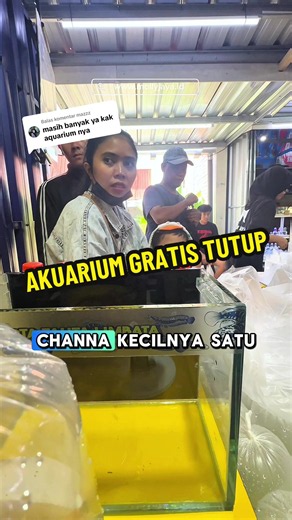 Promo Glowfish Tetra 20 Ekor Rp10.000 Akuarium Gratis Tutup