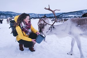 Feeding Reindeer, Joiking, & Fireside Storytelling: The Ultimate Sámi Culture Experience in Tromsø, Norway - The Intrepid Guide