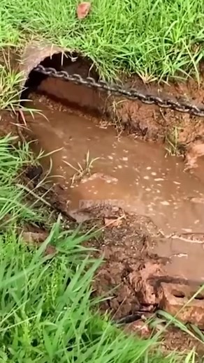 86K views · 326 reactions | Massive blockage bursting out of this...