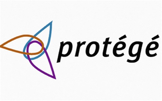 01 protege基本使用-导入neo4j