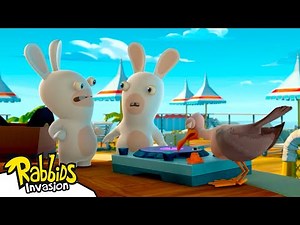 Music Rabbid 📀🎶 | RABBIDS INVASION 🐰 | Cartoon for Kids