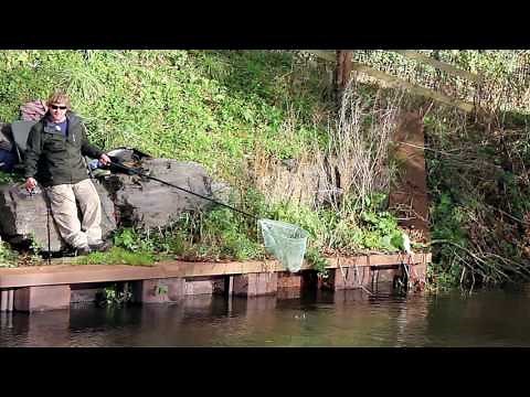 Coarse Fishing on the River Culm
