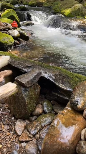 #الابتلاء_نعمة_من_الله #اللهم_صلي_على_نبينا_محمد #لاالەالااللە